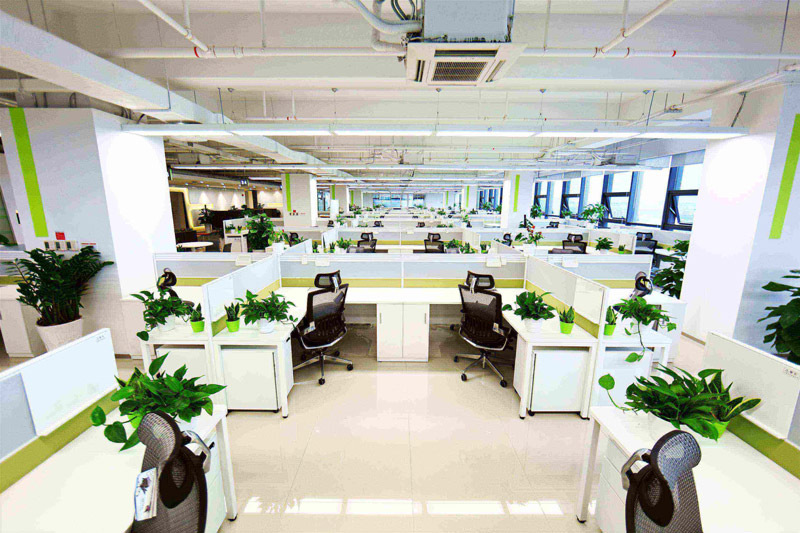 綠色環保辦公空間